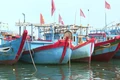 Liên tiếp phát hiện tàu cá đánh bắt hải sản không đúng quy định