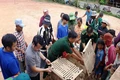 Trao 1.500 con giống gia cầm cho học sinh nghèo vượt khó vùng ven biển