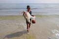 Vượt nắng mưu sinh