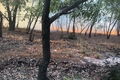 Hơn 10 ha rừng phòng hộ ở thôn Vân Tường bị cháy rụi
