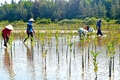 Chủ động ứng phó với biến đổi khí hậu, tăng cường quản lý tài nguyên, bảo vệ môi trường