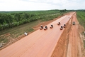 Bước qua lời nguyền “rừng ma” để nhường đất xây đường cao tốc