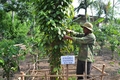 Thành phố Đông Hà đẩy mạnh xây dựng các mô hình học tập
