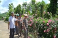 Cựu chiến binh hai quê, một lòng