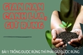 Gian nan canh lửa, giữ rừng. Bài 3: Tăng cường nguồn lực đầu tư để bảo vệ rừng hiệu quả