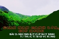 Gian nan canh lửa, giữ rừng. Bài 3: Tăng cường nguồn lực đầu tư để bảo vệ rừng hiệu quả