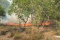 Hơn 10 ha rừng phòng hộ ở thôn Vân Tường bị cháy rụi