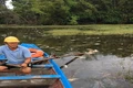 Thị trấn Cửa Việt: Hàng tấn cá nuôi chết, người dân thiệt hại nặng 
