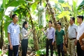 Hội nghị đầu bờ mô hình trồng thử nghiệm cây gai xanh