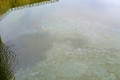 Phát hiện cống nước ngầm xả thải trái phép ra sông Sa Lung