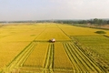 Hợp tác xã nông nghiệp Đông Thanh đoạt Giải thưởng Ngôi sao Hợp tác xã năm 2024