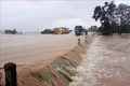 UBND tỉnh làm việc với Tập đoàn Điện lực Việt Nam 