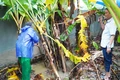 Cam Lộ: Xuất hiện hố sụt lún sâu gần 5 mét trong vườn nhà dân 