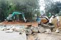Nhiều giải pháp nâng cao thu nhập cho người dân khu vực nông thôn