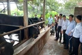 Kinh tế tập thể mang lại hiệu quả cao tại xã Gio Mỹ