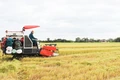 Hiệu quả về đẩy mạnh cơ cấu lại ngành nông nghiệp ở huyện Gio Linh