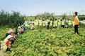 Những kỳ vọng từ việc hợp tác nâng cao chất lượng du lịch tại Vĩnh Linh