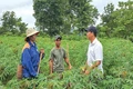 Đồng hành với người dân vùng núi phát triển sản xuất, kinh doanh