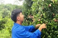Triển vọng từ mô hình kinh tế tổng hợp của một thanh niên Vân Kiều
