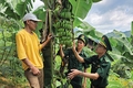 “Dệt” những mùa vàng