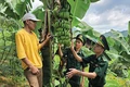 “Dệt” những mùa vàng