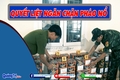 Triển khai đồng bộ các giải pháp để ngăn chặn pháo lậu