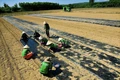 Trang bị kỹ năng khởi nghiệp, đổi mới sáng tạo