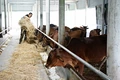 Hải Lăng triển khai đồng bộ nhiều giải pháp để thu hút đầu tư