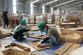Nâng cao năng lực quản lý nhà nước đối với hoạt động sản xuất, chế biến lâm sản