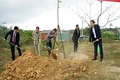 Đông Hà: Phát động “Tết trồng cây đời đời nhớ ơn Bác Hồ” xuân Ất Tỵ 