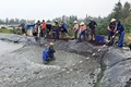 Cẩn trọng trước vụ nuôi tôm mới