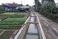 Phát huy hiệu quả của quỹ hỗ trợ phát triển hợp tác xã
