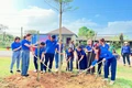 Thêm yêu lịch sử, quê hương từ tranh bích họa