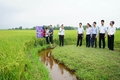 Vĩnh Linh: Phấn đấu mở rộng diện tích sản xuất lúa liên kết lên khoảng 400 ha trong năm 2024