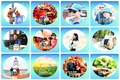 Tích cực hưởng ứng Tháng hành động vì môi trường