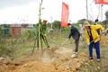 Trồng mới hơn 200ha rừng tập trung