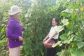 Đổi mới cách hỗ trợ để thay đổi tập quán sản xuất của người dân