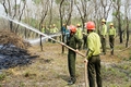 Tuyệt đối không được lơ là, chủ quan trong quản lý, bảo vệ rừng và phòng cháy chữa cháy rừng