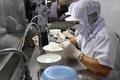Tăng cường quản lý các cơ sở nuôi chim yến