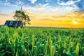 Ra quân tổng điều tra nông thôn, nông nghiệp năm 2025