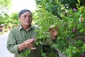 Cựu chiến binh hai quê, một lòng