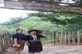 Nỗ lực xóa nghèo thông tin, tạo động lực phát triển cho phụ nữ vùng cao