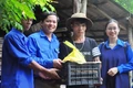 Giúp thanh niên định hướng nghề nghiệp