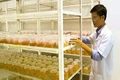 Nâng cao hiệu quả hoạt động thực thi quyền sở hữu trí tuệ