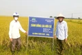 Góp sức xây dựng nông thôn mới bằng công trình, phần việc cụ thể