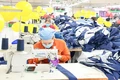 Chủ động khắc phục khó khăn, bảo đảm phục vụ tốt nhất cho người dân, doanh nghiệp