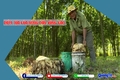Điểm tựa của những “vầng trăng khuyết”