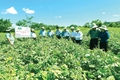 Hội thảo khởi động dự án “Hỗ trợ sinh kế nông nghiệp thích ứng với biến đổi khí hậu nhằm nâng cao vai trò phụ nữ ở các xã khó khăn