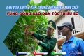 Góp phần tôn vinh, lan tỏa những tấm gương điển hình tiên tiến vùng đồng bào dân tộc thiểu số