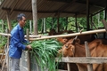 Những gương sáng mang họ Hồ của Bác